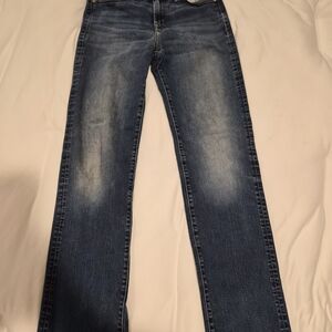 American Eagle Outfitters Dark Blue Straight Jeans